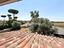 Immagine 18