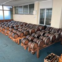 10 Batterie Aceto Balsamico certificate DOP 24ANNI
