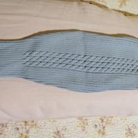 Cuccia e vestito cane