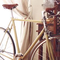 Bici Vintage -Fixed - Bottecchia 1957