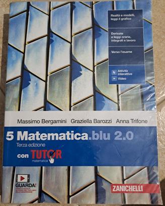 Matematica blu-5^ scientifico