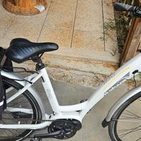 bici elettrica