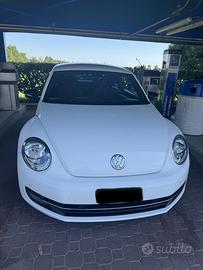 Maggiolino Beetle