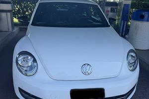 Maggiolino Beetle