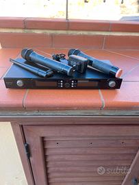 Doppio Microfono wireless