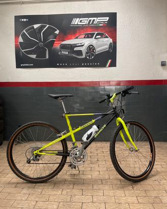 Bici montan bike