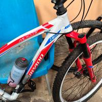 MTB  torpado 