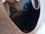Immagine 5