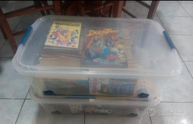 Topolino