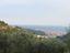 Immagine 9