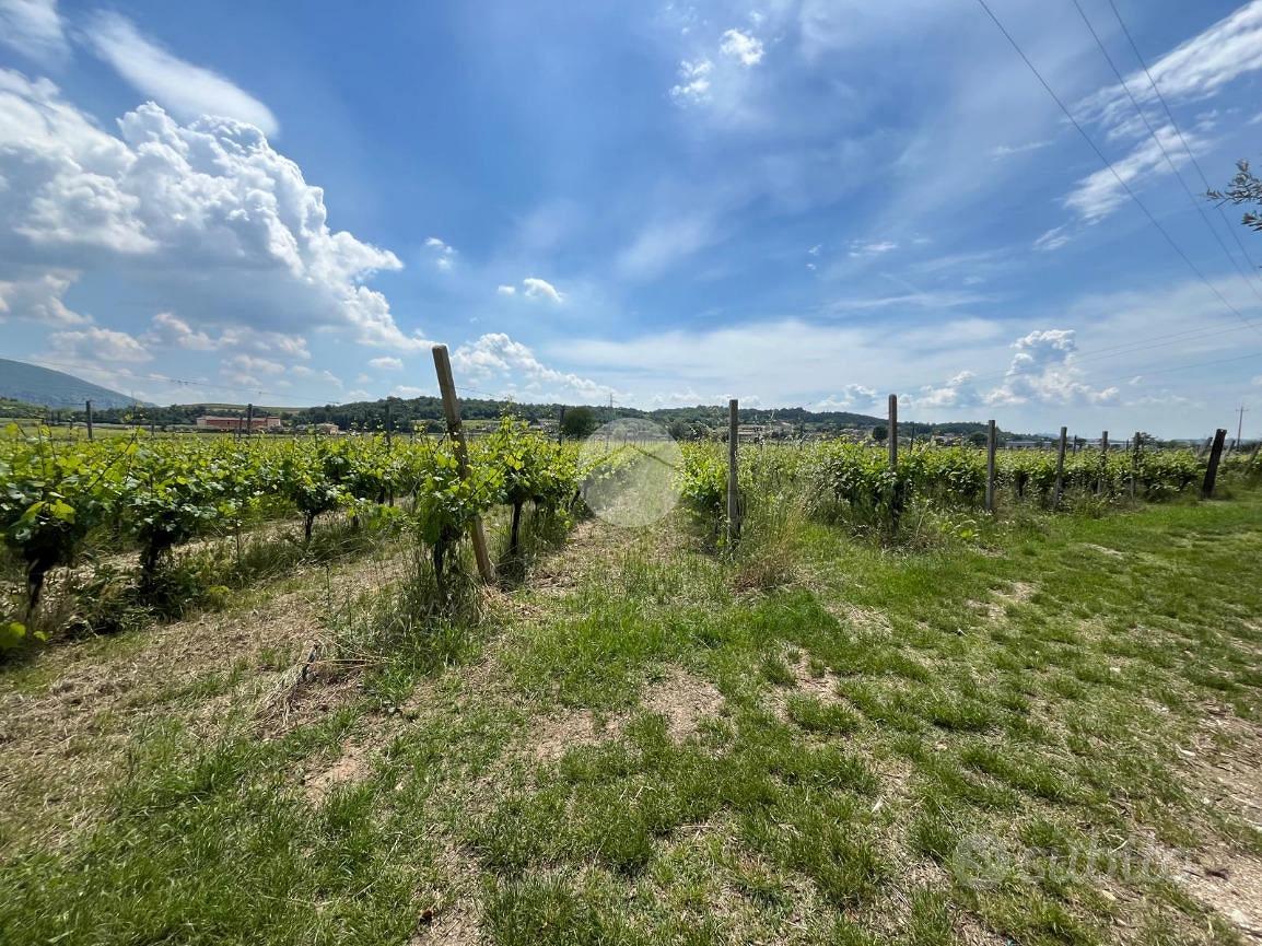 TER. AGRICOLO A CAPRINO VERONESE - Vista 3