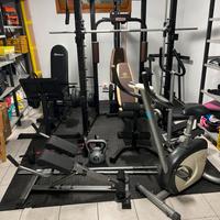 Palestra
