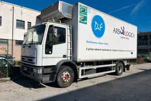 Iveco eurocargo camion refrigerante