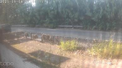 Campana a 50 in granito.