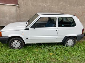 Pandina Young 1100