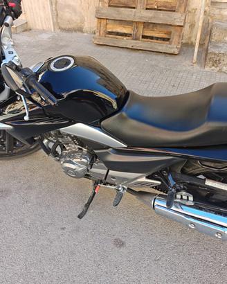Suzuki Inazuma 250