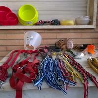 COLLARI e Accessori per CANI
