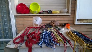 COLLARI e Accessori per CANI