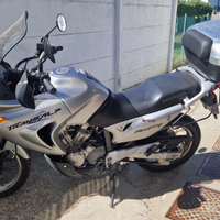 Honda Transalp XL 650 V