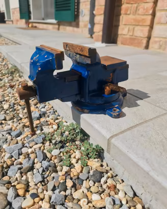 Morsa da banco