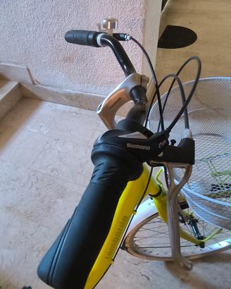 bicicletta da donna