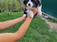 Immagine 14
