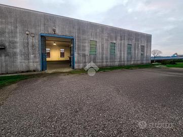 CAPANNONE A PAVONE DEL MELLA