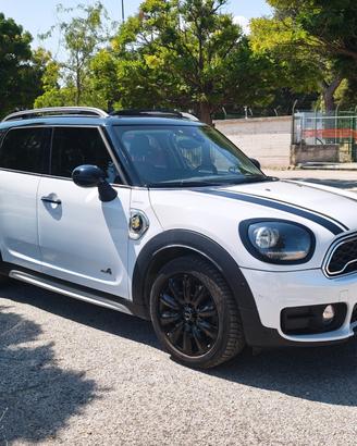 Mini Cooper S Countryman 1.5 Hype ALL4 136cv più 8