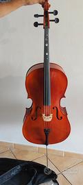 violoncello