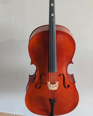 violoncello