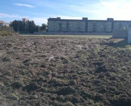 Terreno agricolo in via Gargiulo a Talsano