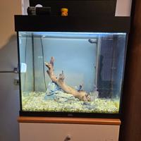 Acquario juwel 120l