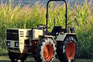 Trattore Pasquali 979
