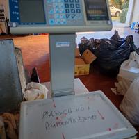 bilancia elettronica 