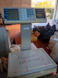 bilancia elettronica 
