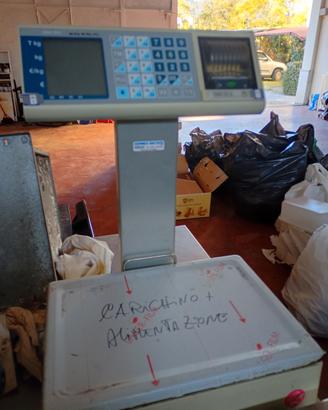 bilancia elettronica 