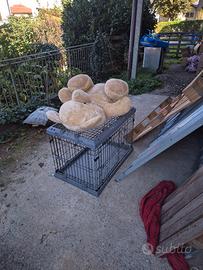kennel per cani 