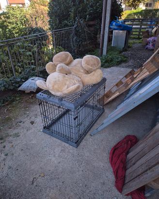 kennel per cani 