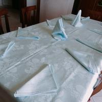 Tovaglia in raso azzurra da 12