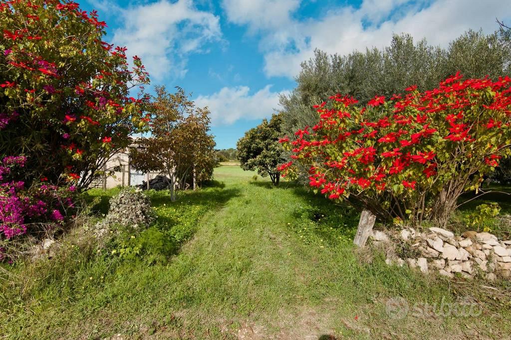 Terreno di 11872 m² a Ragusa - Vista 2