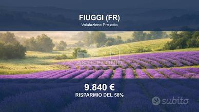 Immobile in asta di 7780 m² a Fiuggi