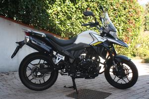 Motron x Nord 125