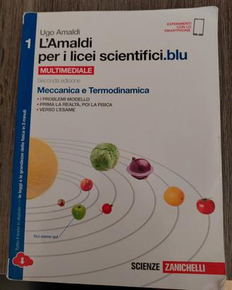 libri scolastici 
