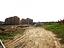 Immagine 14
