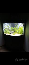 acquario juwel trigon 190 litri 