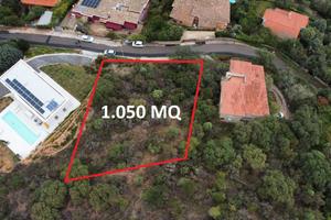 Poggio dei pini - lotto edificabile panoramico