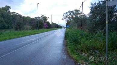 TER. AGRICOLO A EBOLI