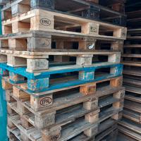 Pallet legno usati