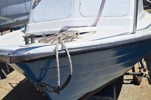 Barca a motore