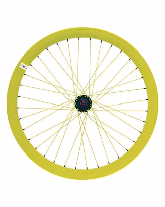 COPPIA RUOTE FIXED A RAGGI COLORATA